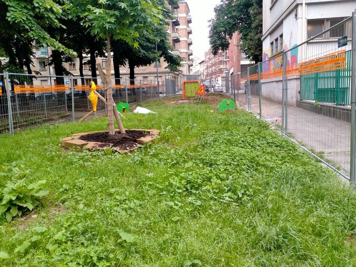 Nuove idee per le aiuole del giardino Alimonda