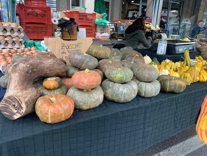 A Santena torna la sagra della zucca A Santena torna la sagra della zucca
