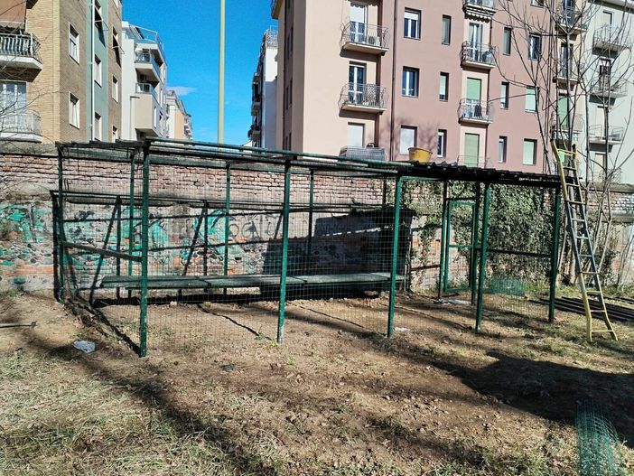 La colonia felina della Tesoriera