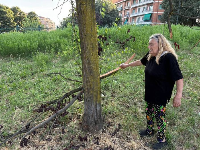 L'appello dei frequentatori del giardino di corso Caio Plinio L'appello dei frequentatori del giardino di corso Caio Plinio
