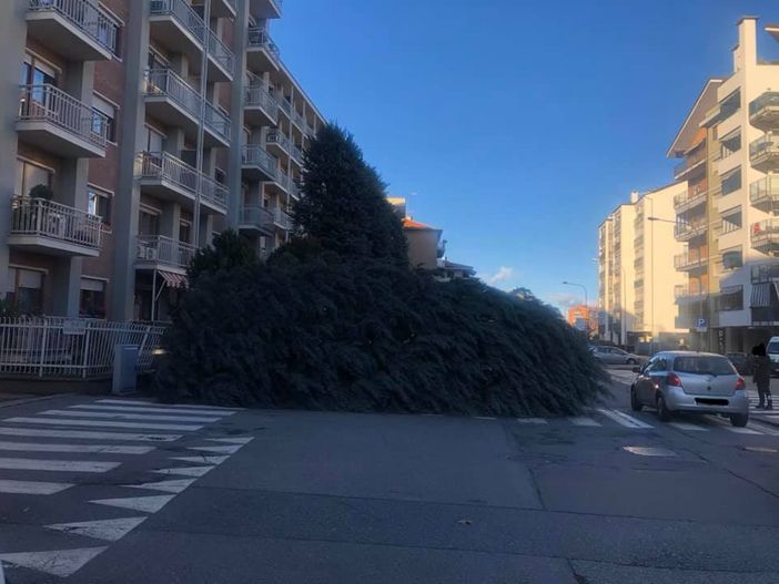 Foto di Daniela Zadel, Facebook Foto di Daniela Zadel, Facebook