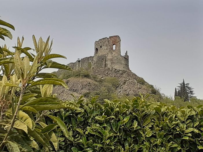 Associazione Archeologica Aviglianese