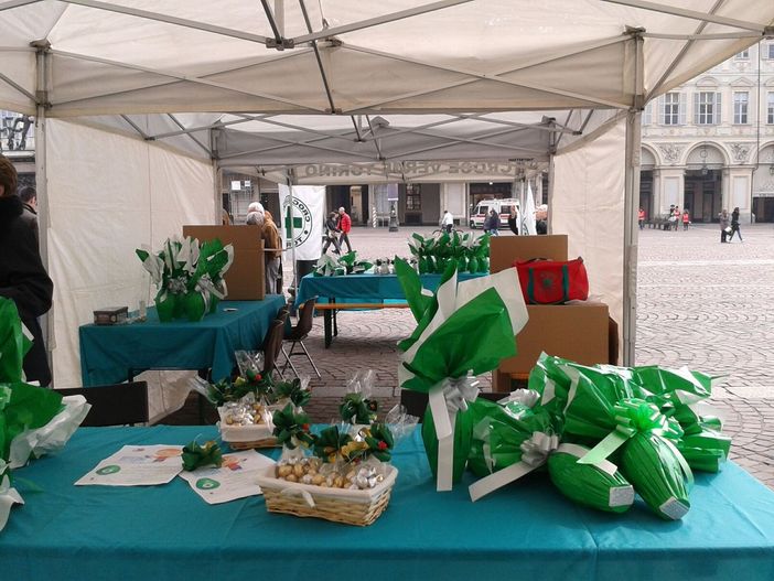 Croce verde Torino: uova di pasqua a sostegno del telesoccorso e teleassistenza Croce verde Torino: uova di pasqua a sostegno del telesoccorso e teleassistenza