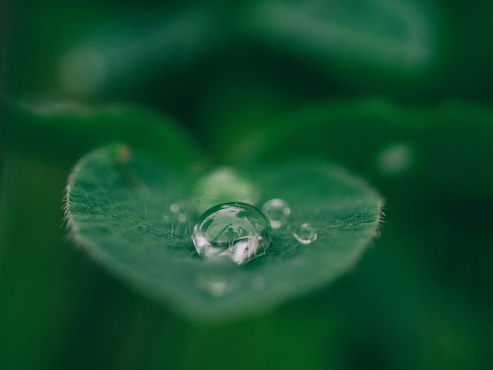 Depuratore d'acqua: quali sono i benefici? Depuratore d'acqua: quali sono i benefici?