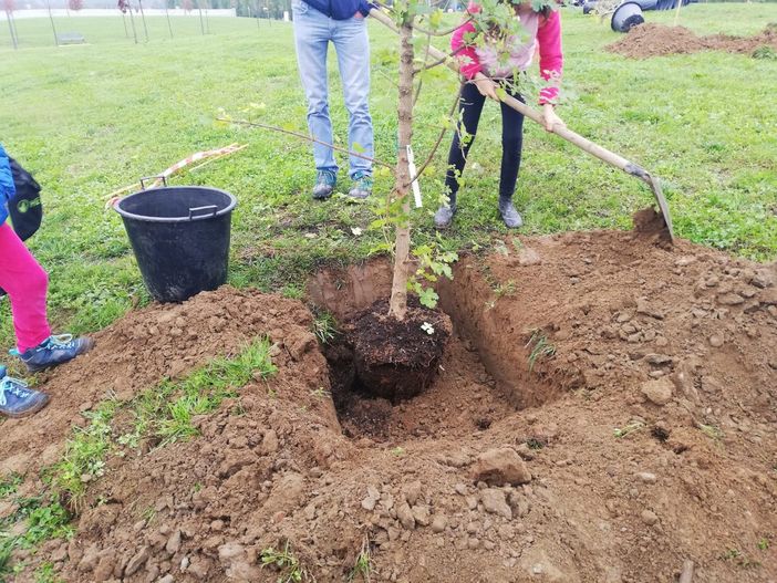 100 ragazzi delle scuole di Stupinigi nel parco naturale per la Festa dell'Albero 100 ragazzi delle scuole di Stupinigi nel parco naturale per la Festa dell'Albero