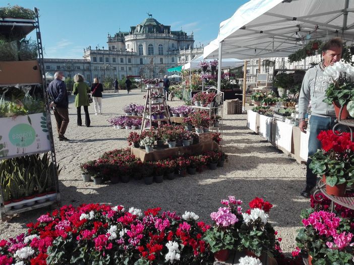 FLOReal - foto d'archivio