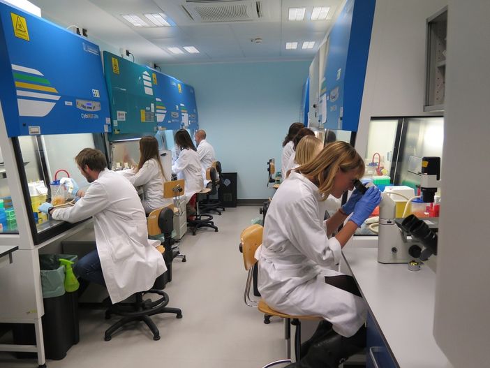 Dall’istituto di Candiolo Irccs una scoperta rivoluzionaria per contrastare il cancro al colon-retto