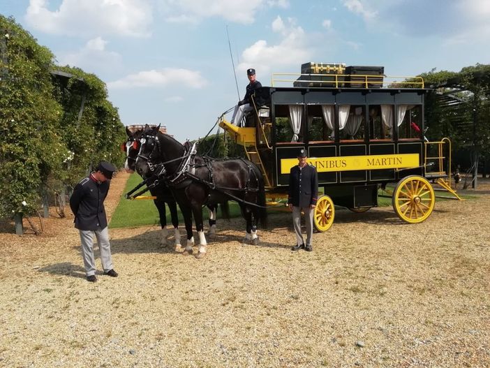 Corse al trotto, streghe, vampiri e giochi circernsi: all’ippodromo di Vinovo un Halloween mostruosamente divertente