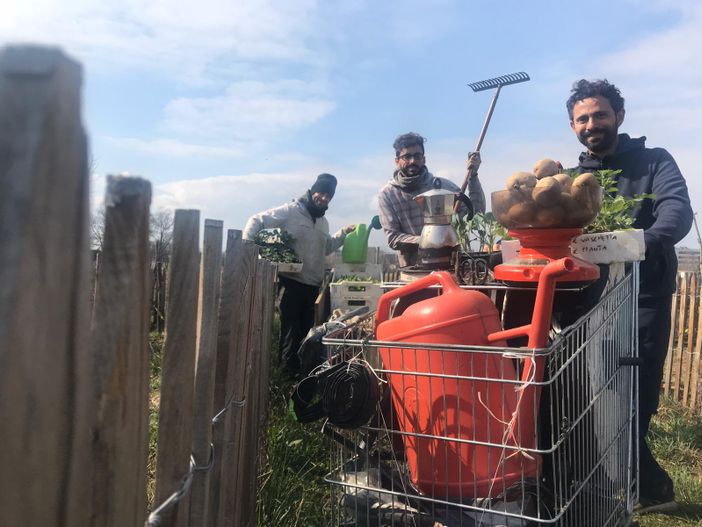 Mirafiori Sud inaugura la tele-coltivazione: "Ci prendiamo cura del vostro orto urbano a distanza" Mirafiori Sud inaugura la tele-coltivazione: "Ci prendiamo cura del vostro orto urbano a distanza"