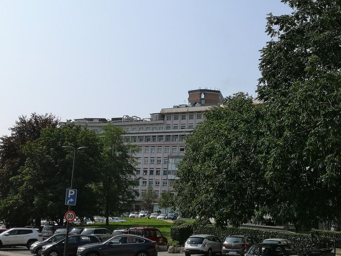 Cellule staminali del fegato per curare i neonati: Città della Salute prima al mondo Cellule staminali del fegato per curare i neonati: Città della Salute prima al mondo