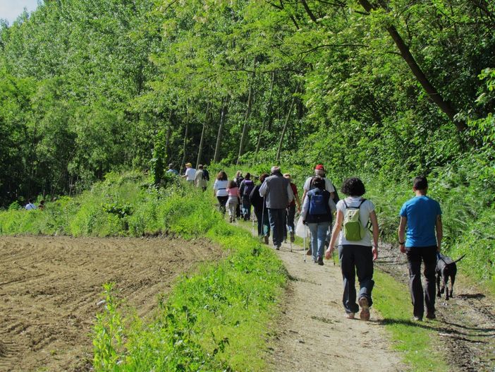 Immagine di repertorio di un sentiero delle Pietre Bianche Immagine di repertorio di un sentiero delle Pietre Bianche