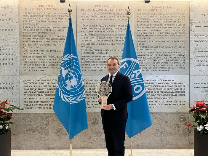 Torino è una delle "Città degli alberi": a dirlo è la FAO Torino è una delle "Città degli alberi": a dirlo è la FAO