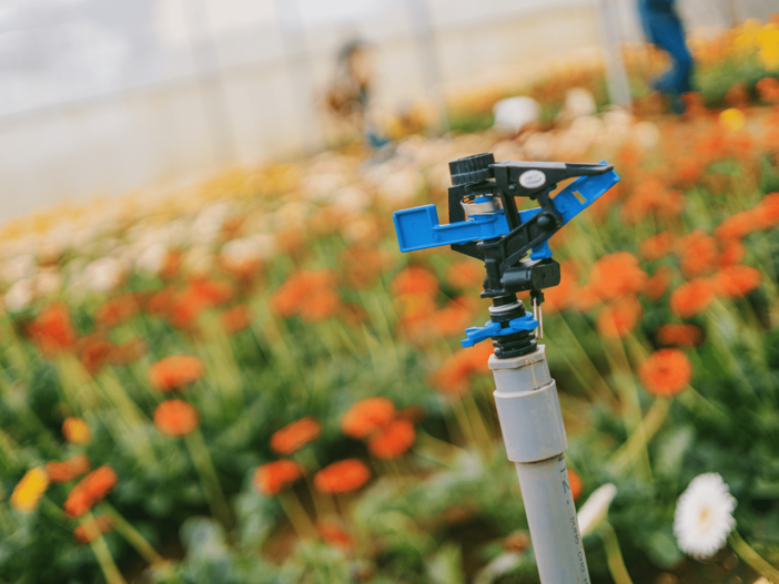 Acquistare online sistemi di irrigazione, ecco i pro e contro