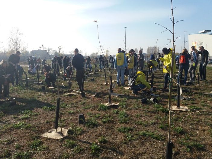 Il futuro non si brucia. Oggi anche in Piemonte la Festa dell'Albero