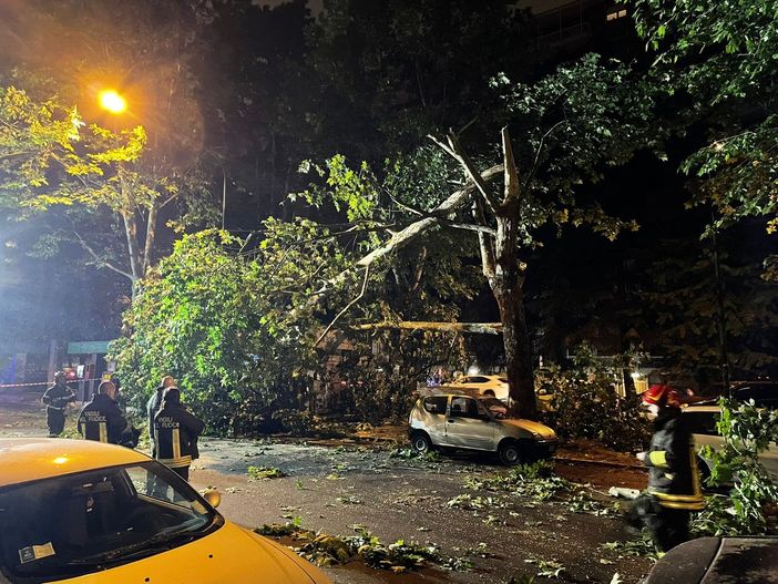 L'albero caduto in corso Monte Cucco L'albero caduto in corso Monte Cucco