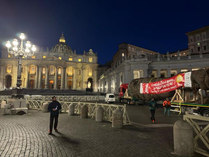 albero di natale in vaticano