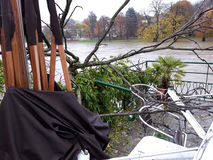 Allagati i circoli canottieri lungo il Po: all'Armida crolla un albero centenario