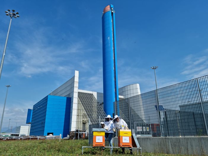 alveari termovalorizzatore alveari termovalorizzatore