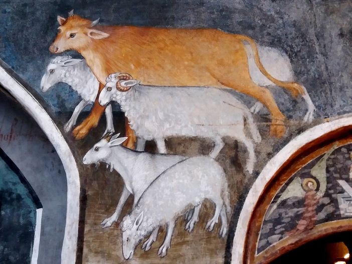 "HIC sunt Viperae": il 6 settembre breve storia degli animali ai piedi delle Alpi
