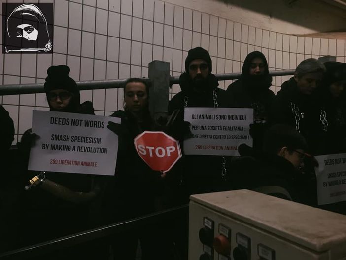 Foto tratta dalla pagina Facebook di 269 Liberation Animale