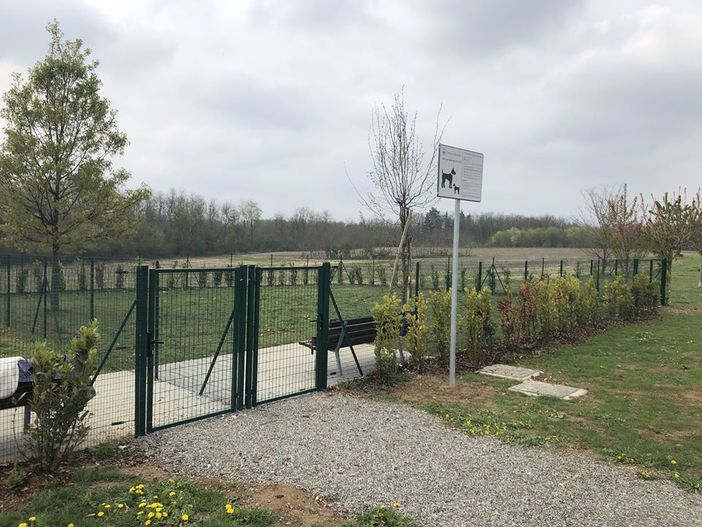 immagine di repertorio