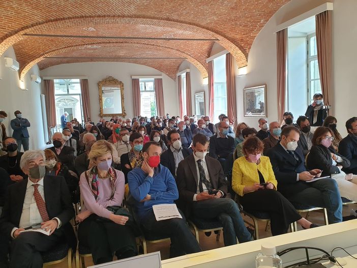 Elena Apollonio Elena Apollonio