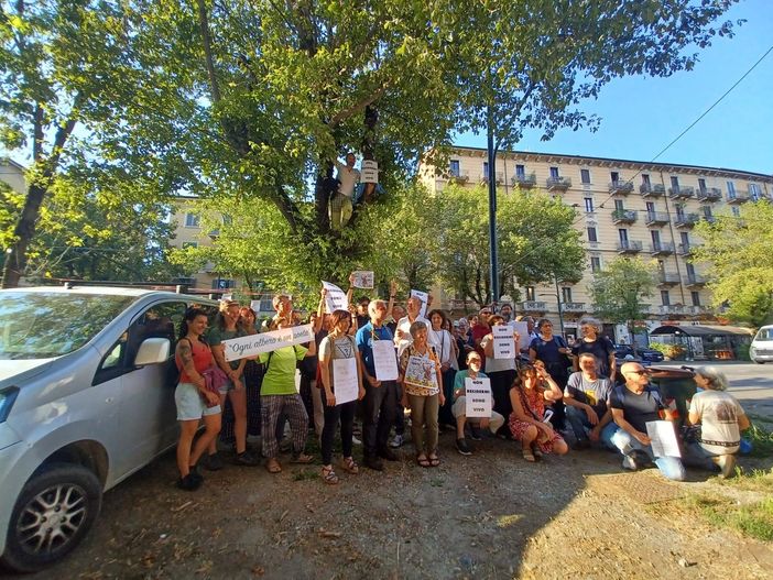 Attivisti a difesa degli alberi di Corso Belgio