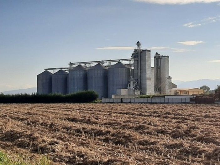 Apre il bando da 20 milioni di euro per il miglioramento delle aziende agricole piemontesi Apre il bando da 20 milioni di euro per il miglioramento delle aziende agricole piemontesi