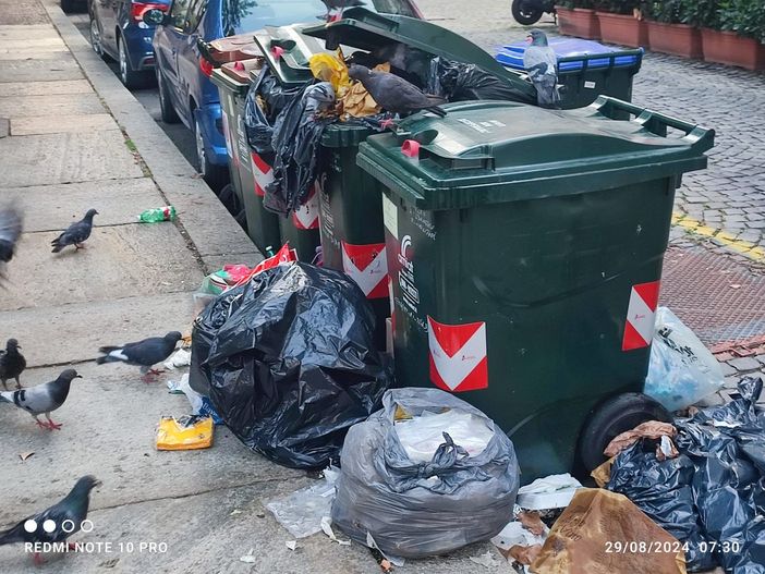 "Torino è sporca": i cittadini segnalano rifiuti per strada e bidoni maleodoranti