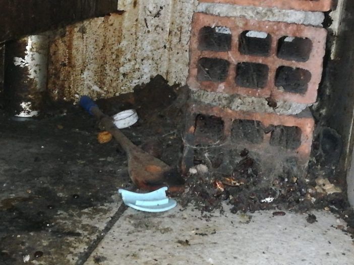 Blatte in una gastronomia abusiva a San Salvario: multa da 25mila euro e locale chiuso