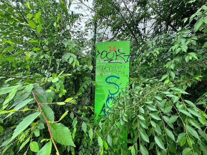 bocciofila il mio giardino