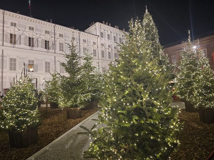 Immagine di archivio del bosco in piazzetta Reale