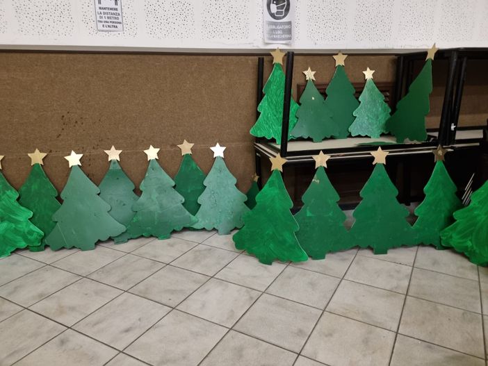 In via Verolengo 212 il bosco