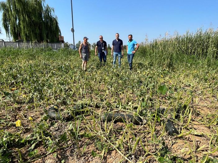 Santena, danni da grandine all'agricoltura: il sopralluogo dei funzionari della Regione