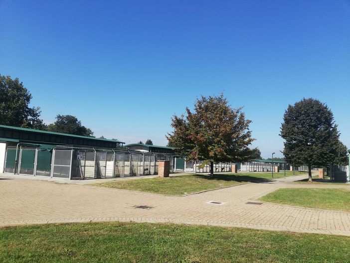 Fase 2 Torino, il canile di Strada Cuorgnè verso la riapertura al pubblico Fase 2 Torino, il canile di Strada Cuorgnè verso la riapertura al pubblico
