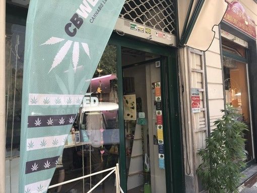 “Appendino tuteli i commercianti che vendono cannabis legale”: la richiesta dei consiglieri del M5S alla sindaca