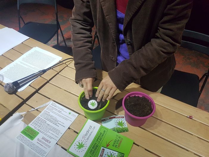 "Sulla cannabis terapeutica Chiamparino e Saitta formalizzino la disponibilità degli operatori piemontesi" "Sulla cannabis terapeutica Chiamparino e Saitta formalizzino la disponibilità degli operatori piemontesi"