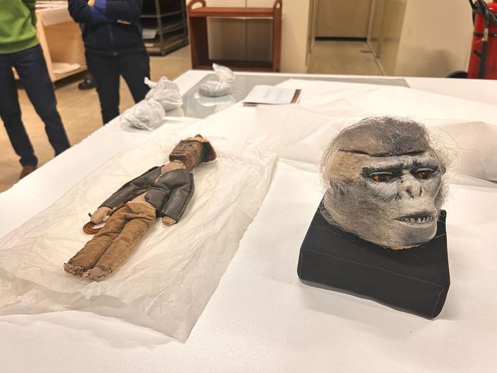 caveau Museo Cinema caveau Museo Cinema