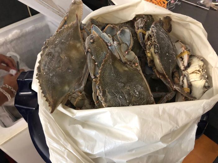 I vigili urbani sequestrano 40 chili di alimenti scaduti o malconservati al titolare cinese di una gastronomia