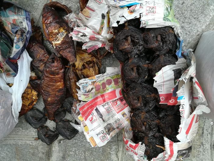 Blitz a Porta Palazzo: sequestrate enormi quantità di cibo mal conservato all'interno di alcuni box [FOTO]