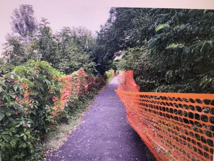 Ciclabile di strada Settimo e lungo Stura Lazio, Petrarulo: &quot;Condizioni vergognose&quot;