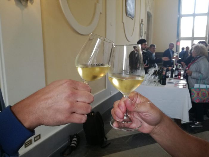 Il vino prende casa in centro città. E se nascesse un vigneto in piazzale Valdo Fusi?