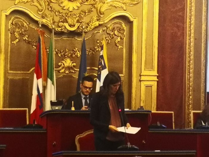 "Muro" contro il suk in San Pietro in Vincoli, scontro tra Appendino e maggioranza in Sala Rossa "Muro" contro il suk in San Pietro in Vincoli, scontro tra Appendino e maggioranza in Sala Rossa