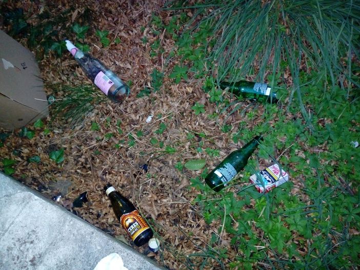 Bottiglie abbandonate, canestri rotti e deiezioni canine: richiesto intervento della municipale in via Venaria