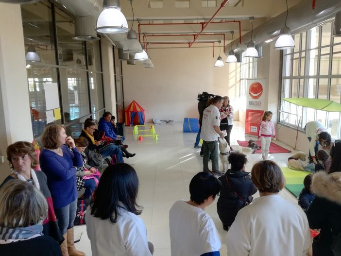 Tre "assistenti di poltrona" a 4 zampe per aiutare i piccoli a vincere la paura del dentista