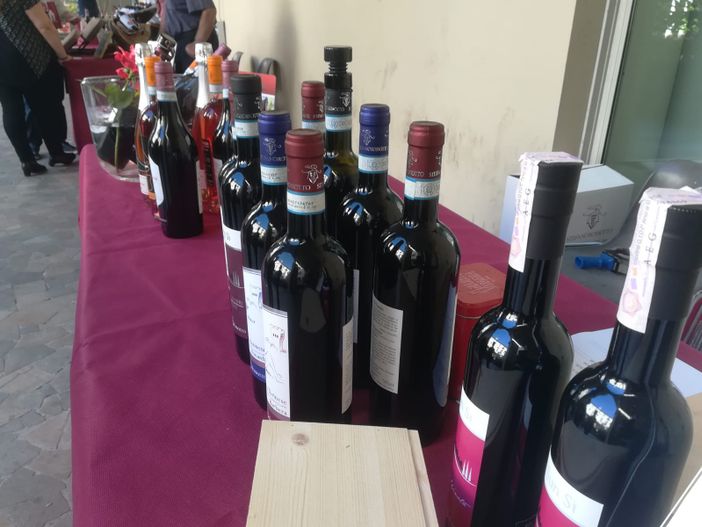 Di Freisa in Freisa, un clima estivo ha accolto gli appassionati dell'enogastronomia torinese [FOTO e VIDEO]