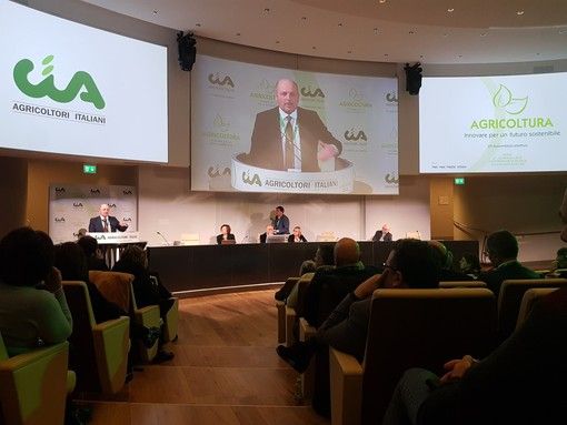 Dino Scanavino Dino Scanavino