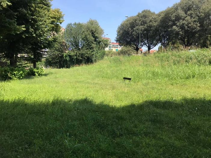 Foto di Michael Di Iesu Foto di Michael Di Iesu