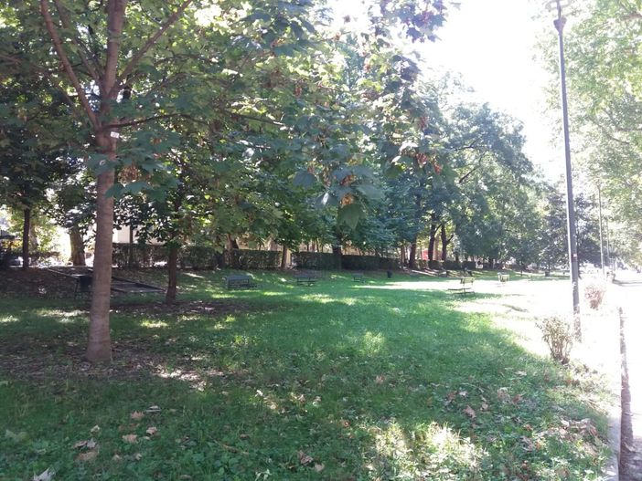 Lungo Po e parco Michelotti: approvato lo sfalcio per bambini e amici a quattro zampe [FOTO]