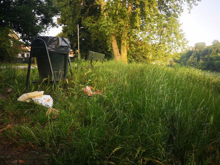 erba alta e panchine